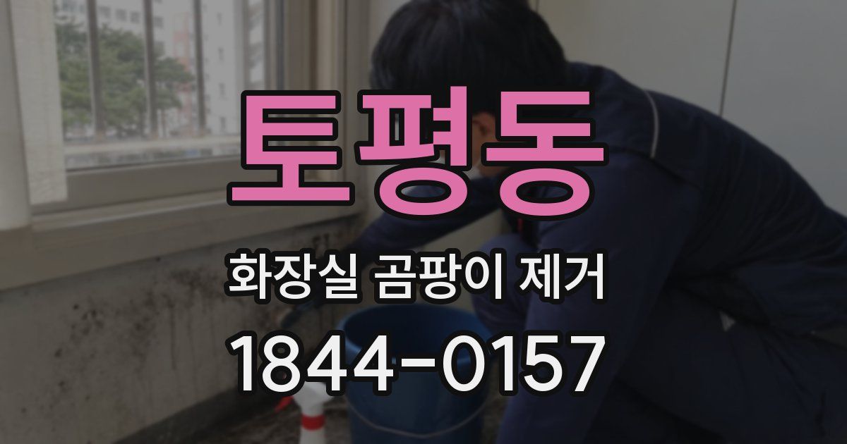 토평동 화장실 곰팡이 제거