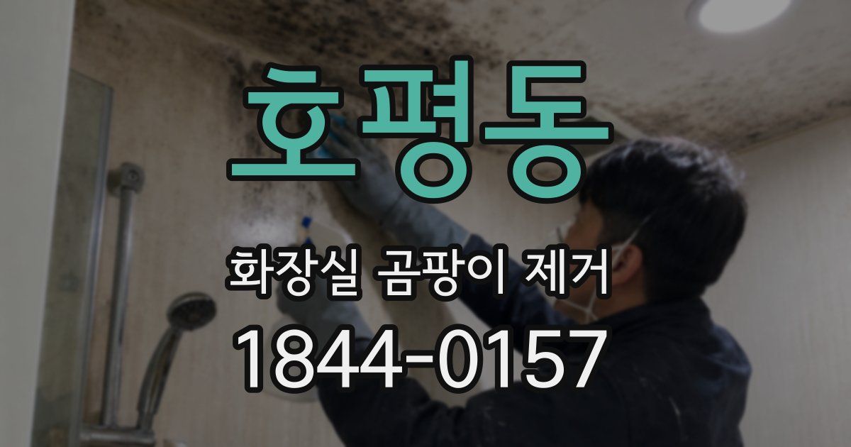 호평동 화장실 곰팡이 제거
