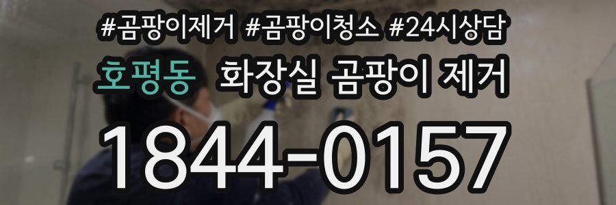 호평동 화장실 곰팡이 제거