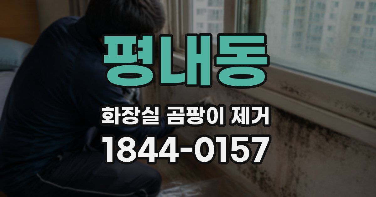 평내동 화장실 곰팡이 제거