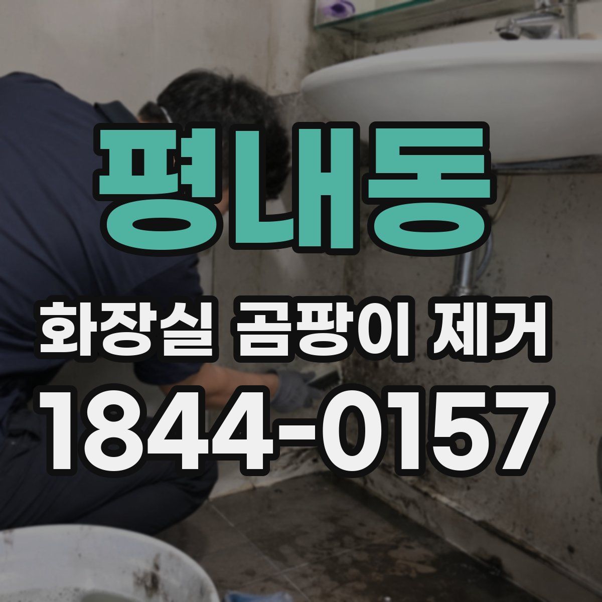 평내동 화장실 곰팡이 제거