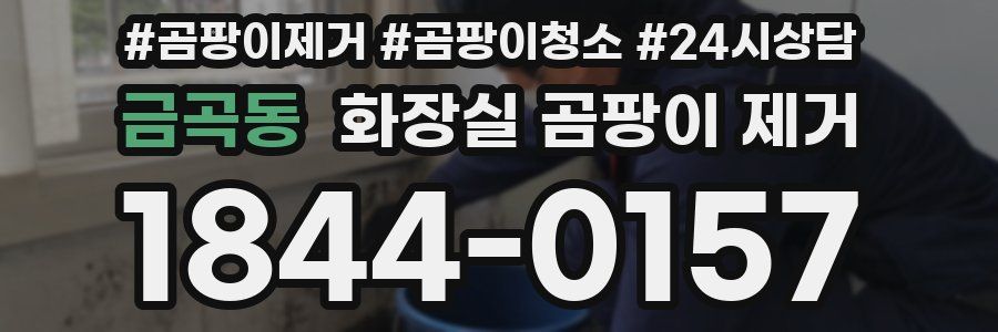 금곡동 화장실 곰팡이 제거