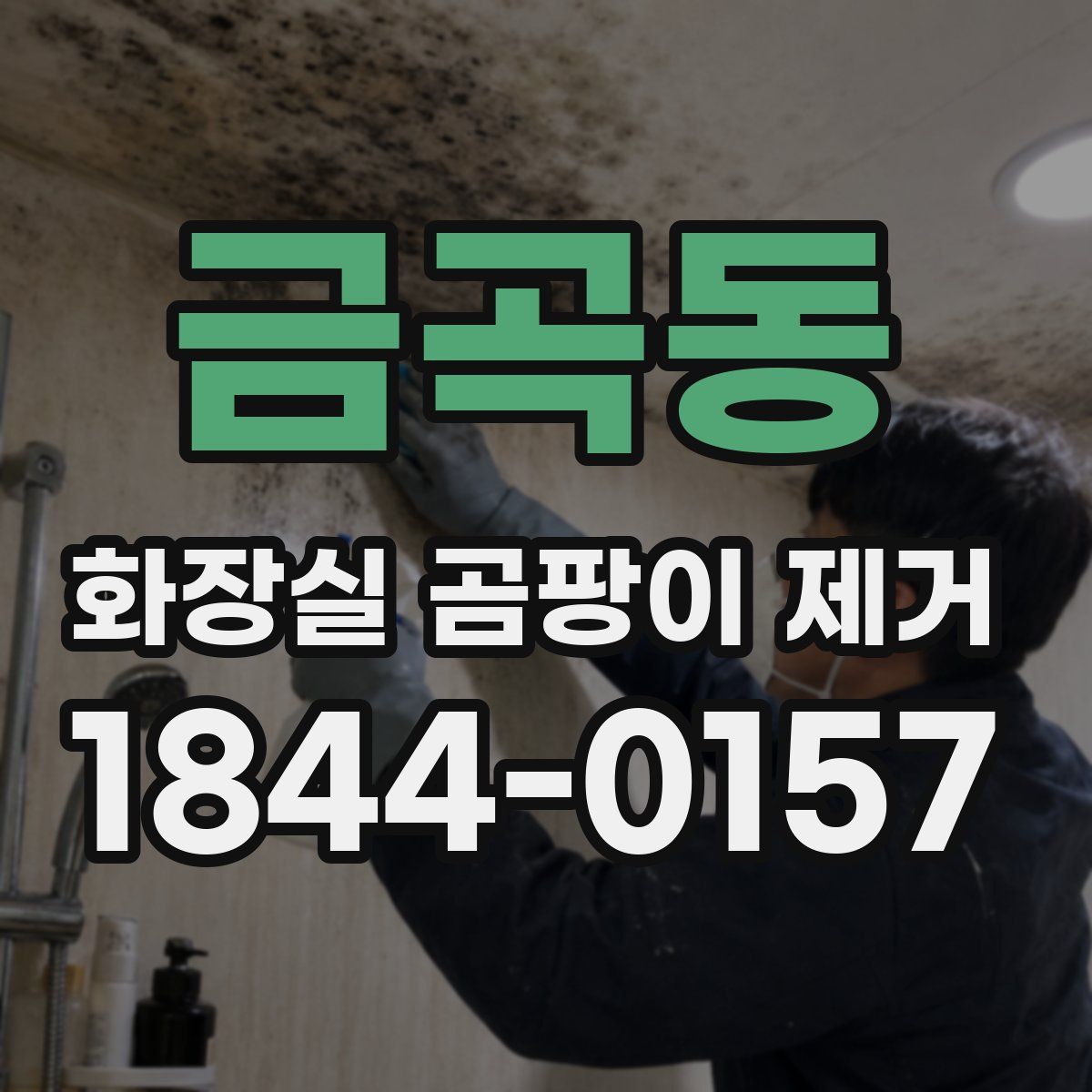 금곡동 화장실 곰팡이 제거