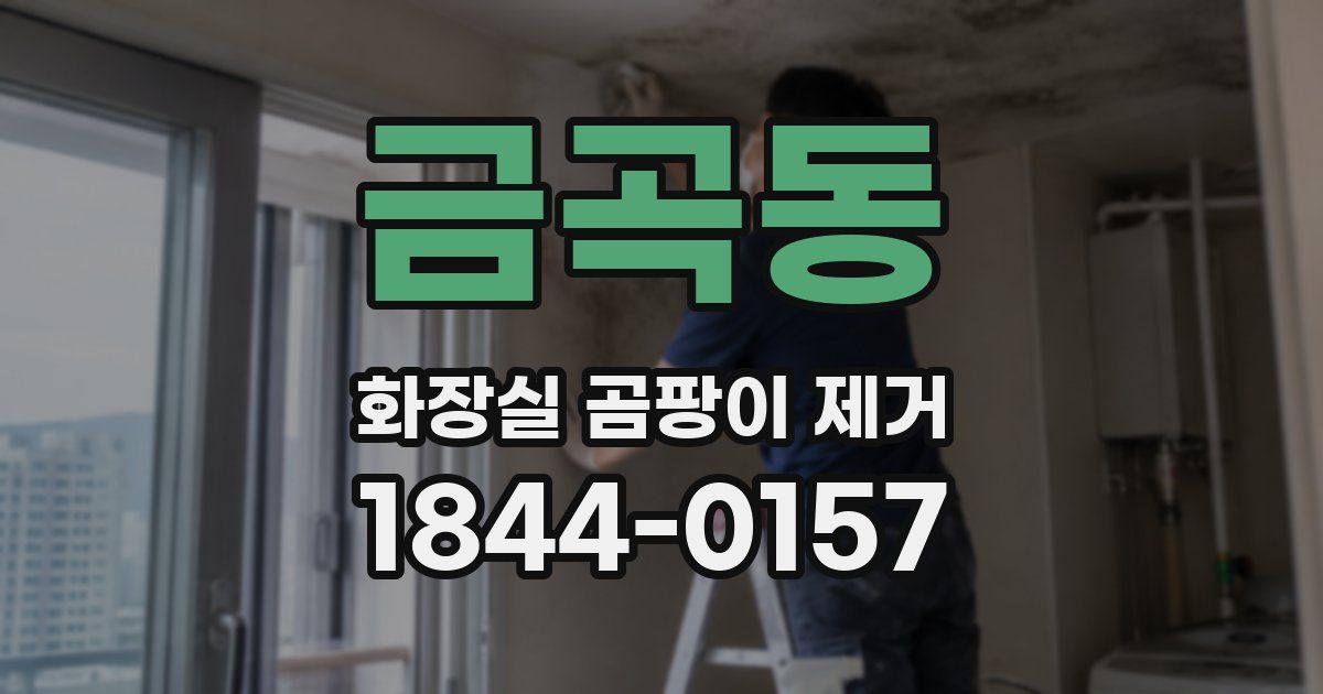 금곡동 화장실 곰팡이 제거