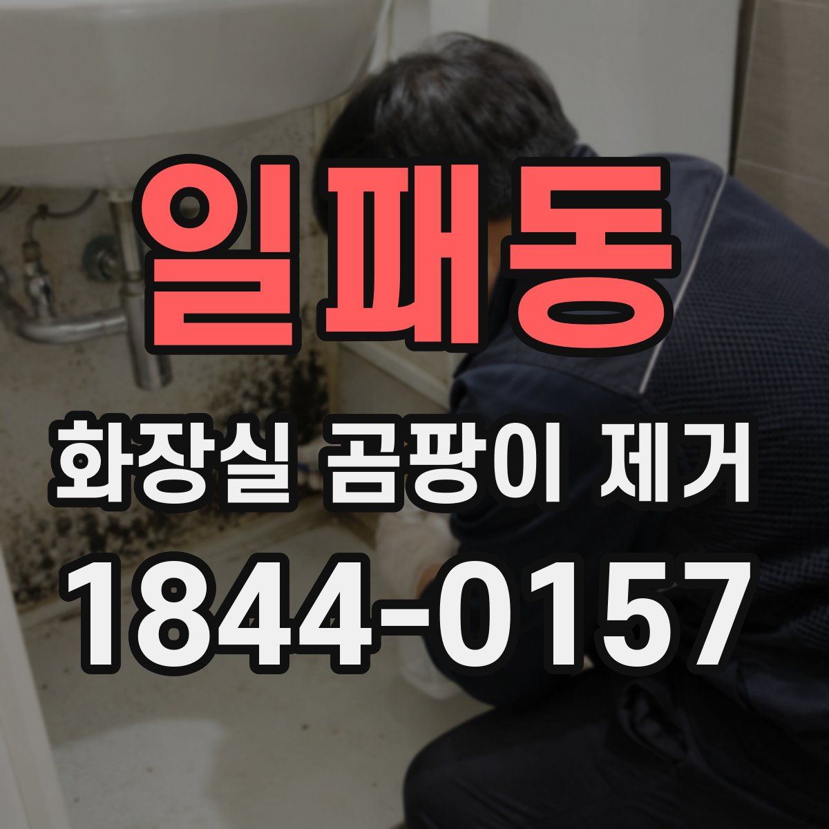 일패동 화장실 곰팡이 제거