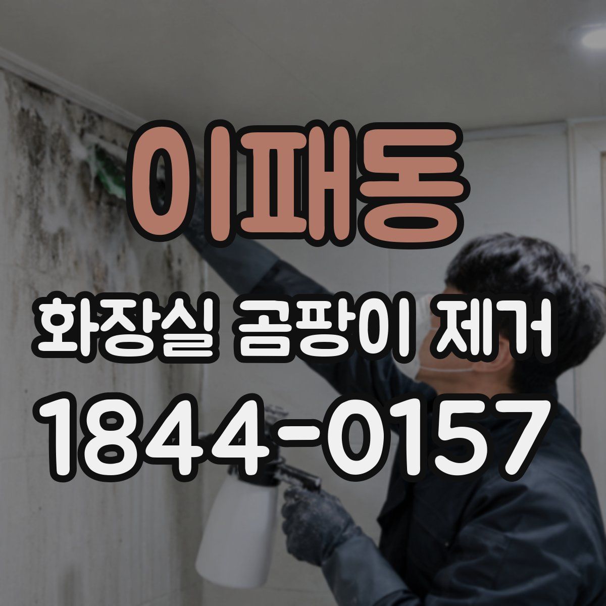 이패동 화장실 곰팡이 제거