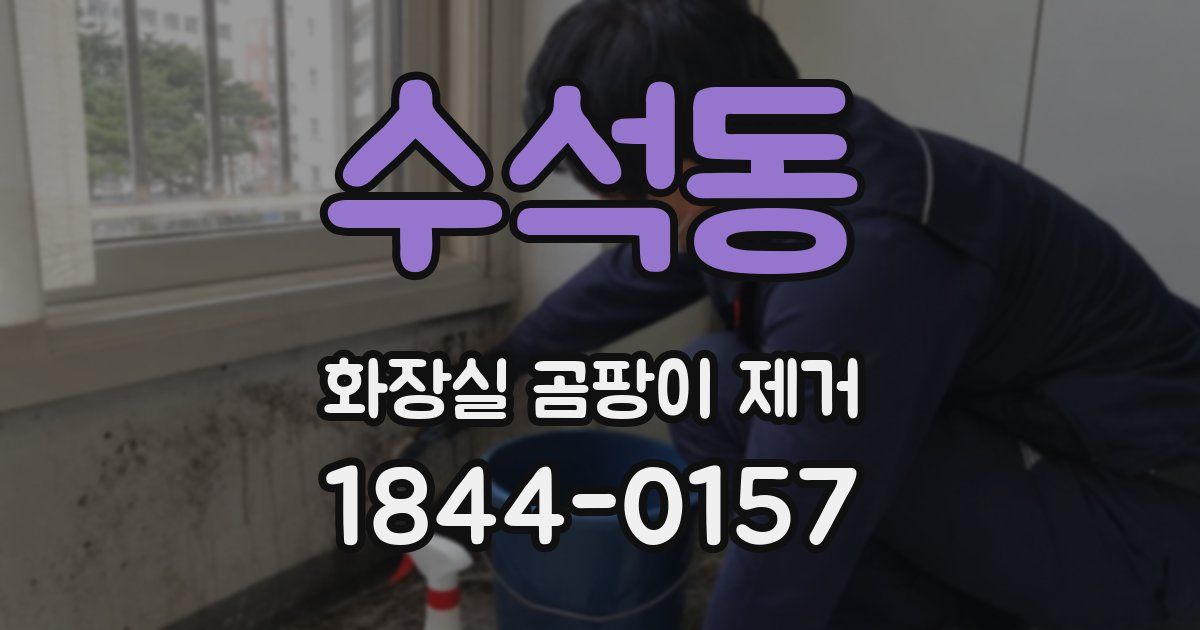수석동 화장실 곰팡이 제거