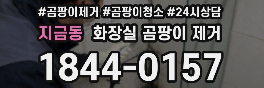 지금동 화장실 곰팡이 제거