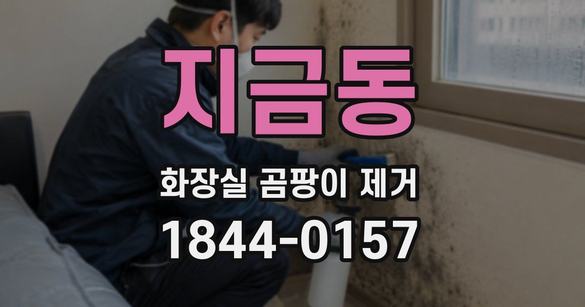 지금동 화장실 곰팡이 제거