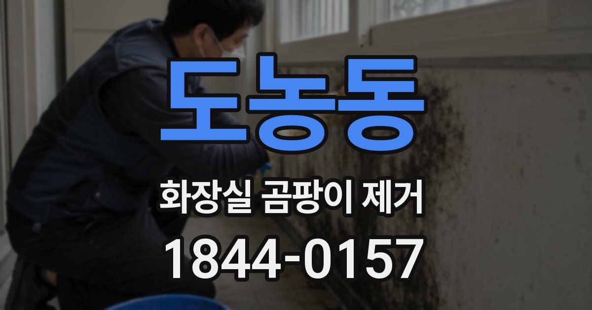 도농동 화장실 곰팡이 제거