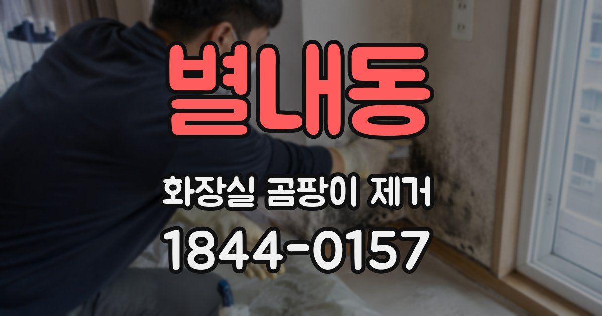 별내동 화장실 곰팡이 제거