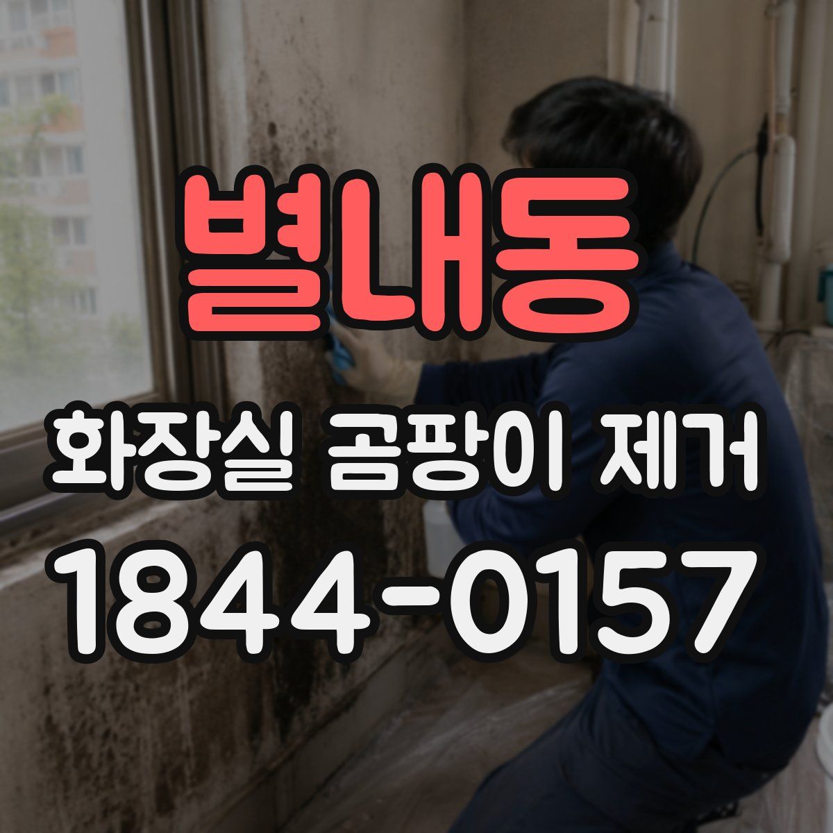별내동 화장실 곰팡이 제거