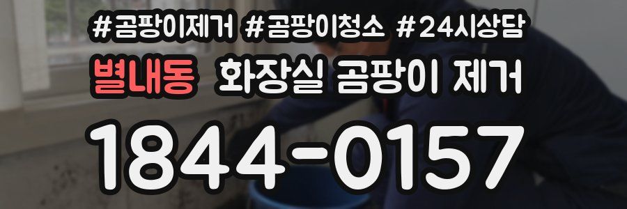 별내동 화장실 곰팡이 제거