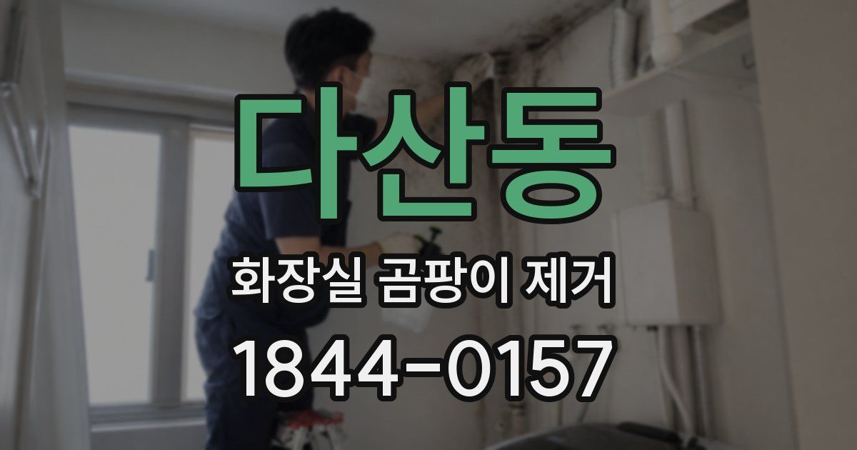 다산동 화장실 곰팡이 제거