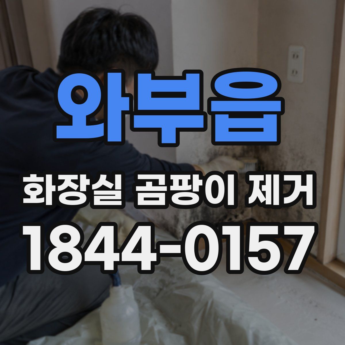 와부읍 화장실 곰팡이 제거