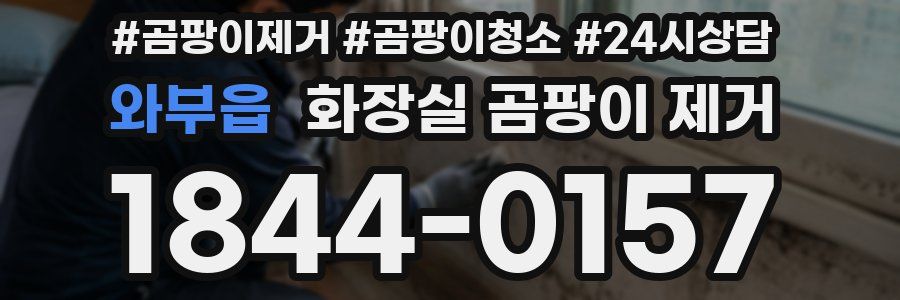 와부읍 화장실 곰팡이 제거