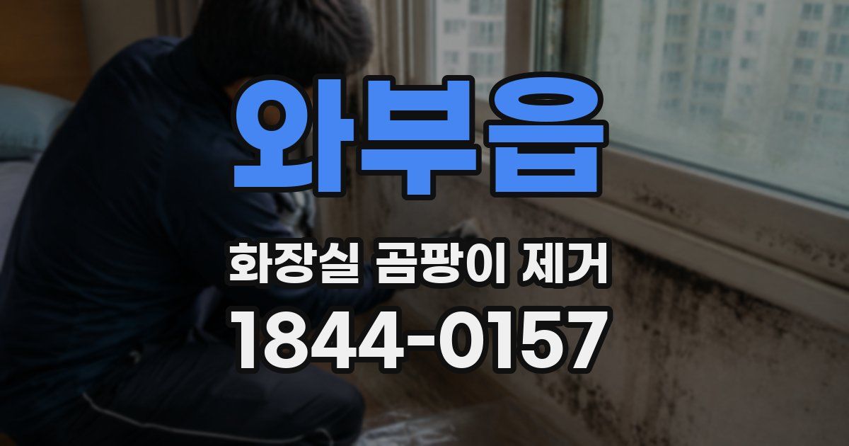 와부읍 화장실 곰팡이 제거