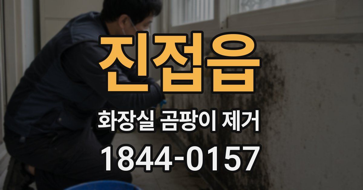 진접읍 화장실 곰팡이 제거