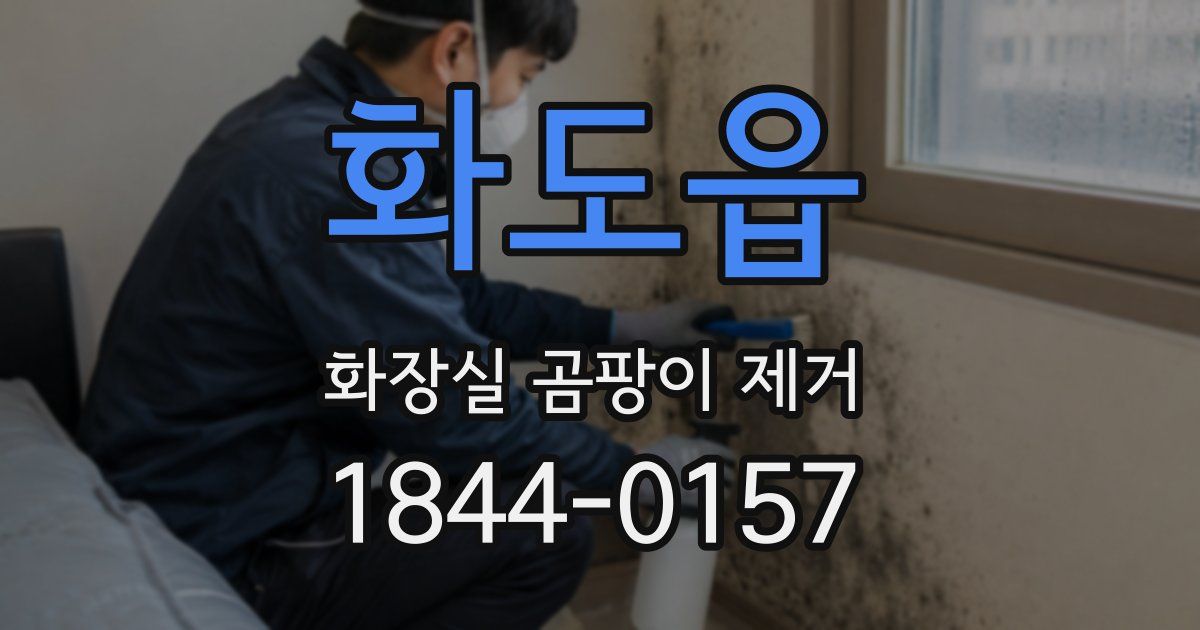 화도읍 화장실 곰팡이 제거