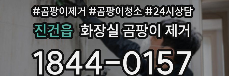 진건읍 화장실 곰팡이 제거