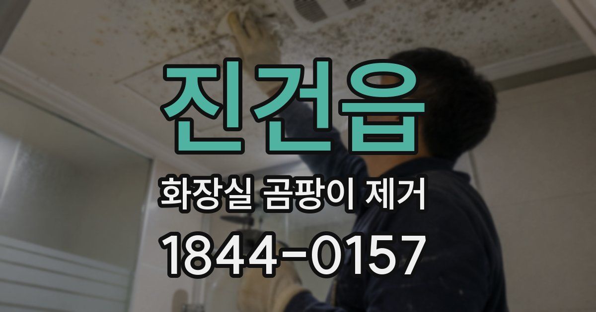 진건읍 화장실 곰팡이 제거