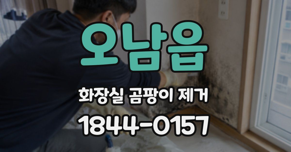 오남읍 화장실 곰팡이 제거