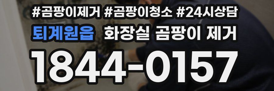 퇴계원읍 화장실 곰팡이 제거
