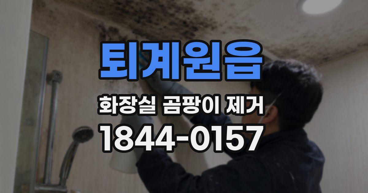 퇴계원읍 화장실 곰팡이 제거
