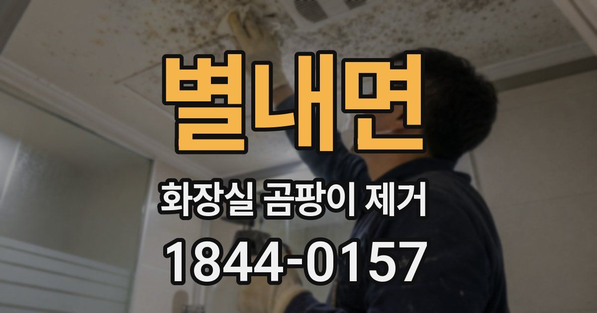 별내면 화장실 곰팡이 제거