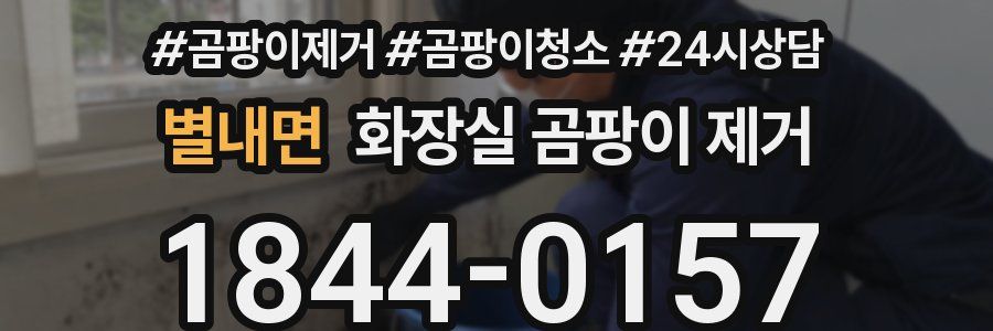 별내면 화장실 곰팡이 제거
