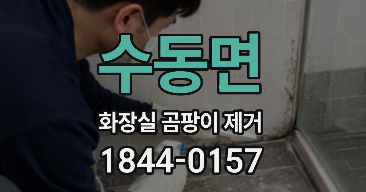 수동면 화장실 곰팡이 제거