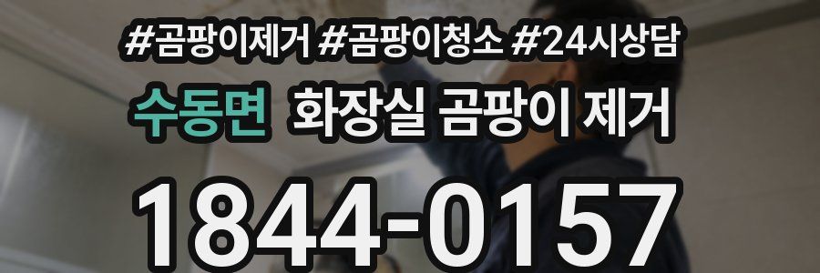 수동면 화장실 곰팡이 제거