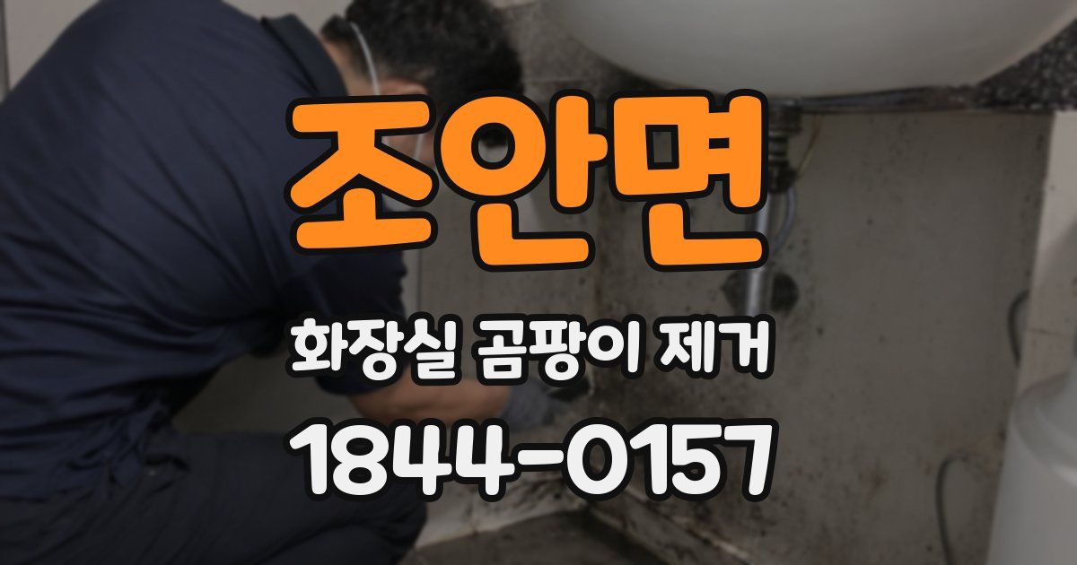 조안면 화장실 곰팡이 제거