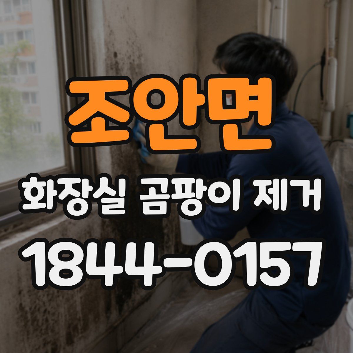 조안면 화장실 곰팡이 제거