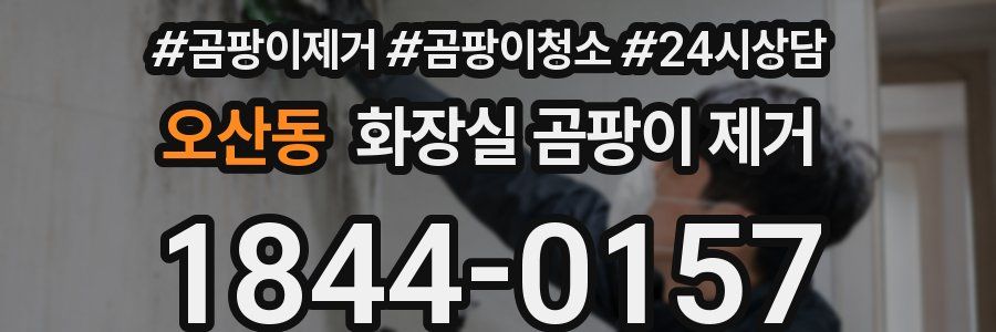 오산동 화장실 곰팡이 제거