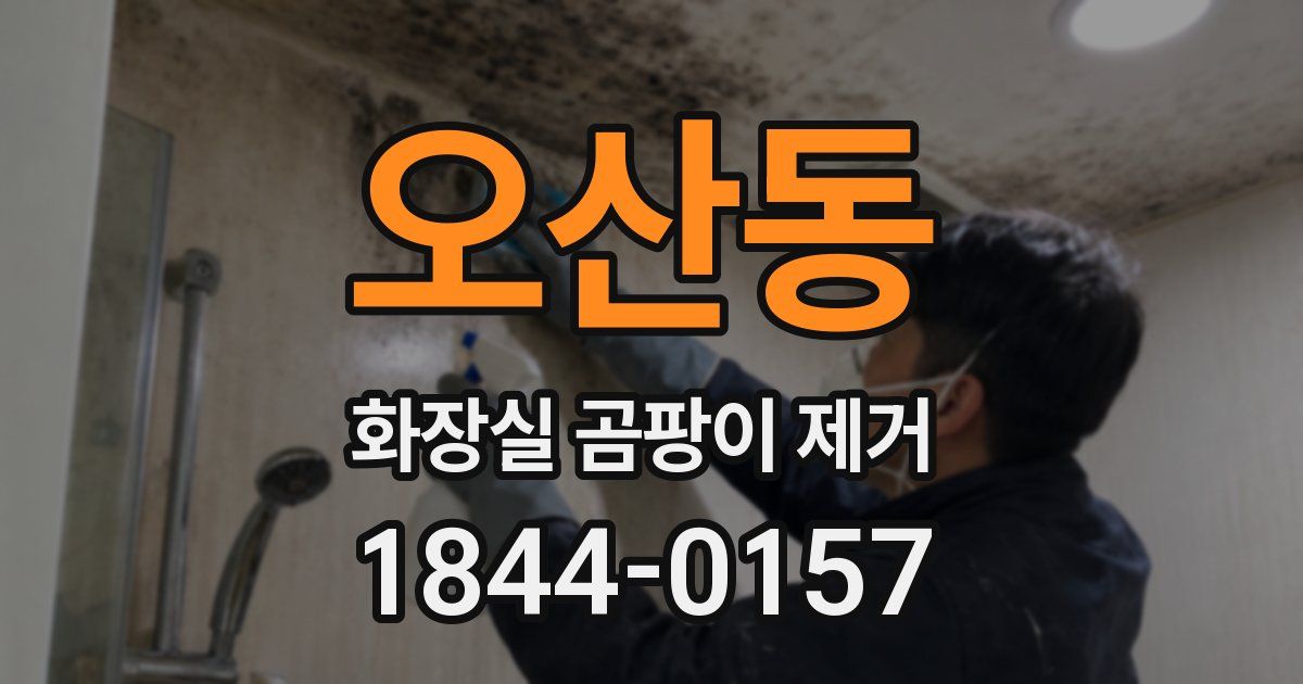 오산동 화장실 곰팡이 제거