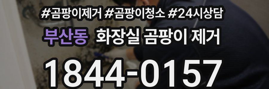부산동 화장실 곰팡이 제거