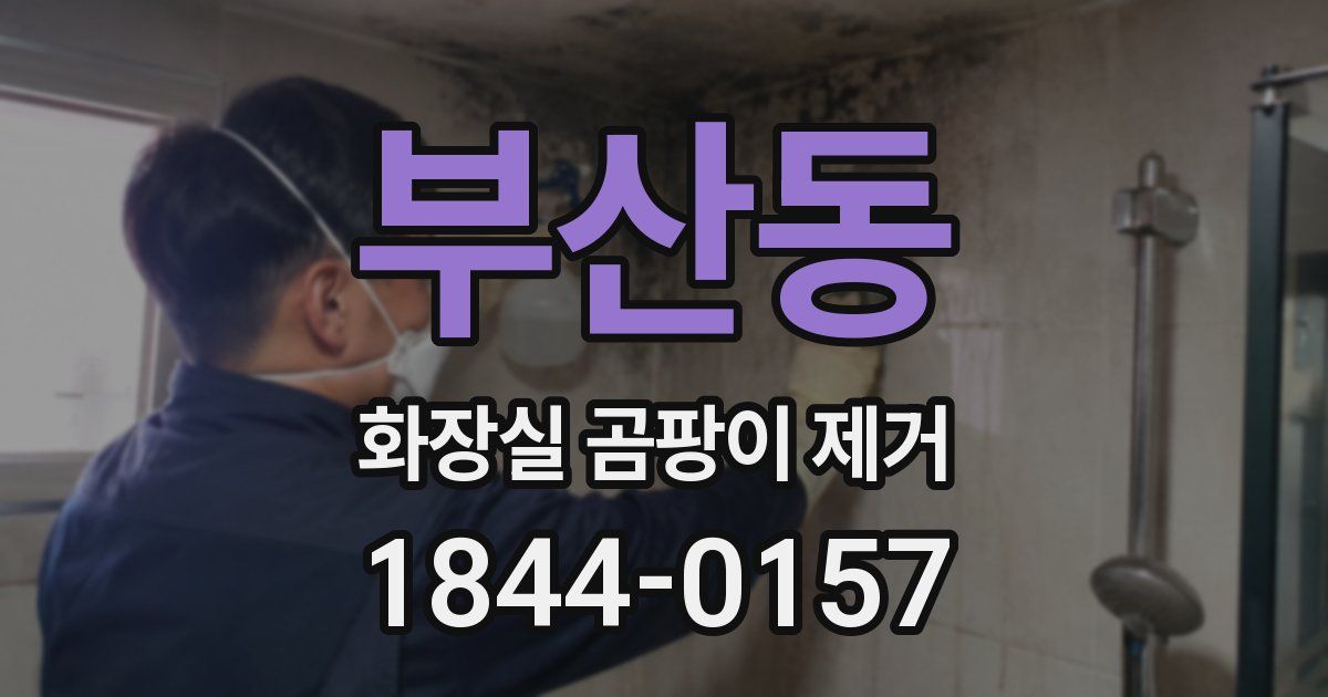 부산동 화장실 곰팡이 제거