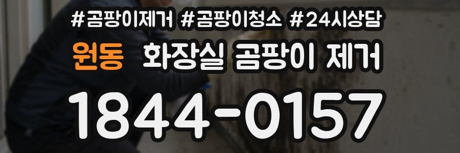 원동 화장실 곰팡이 제거