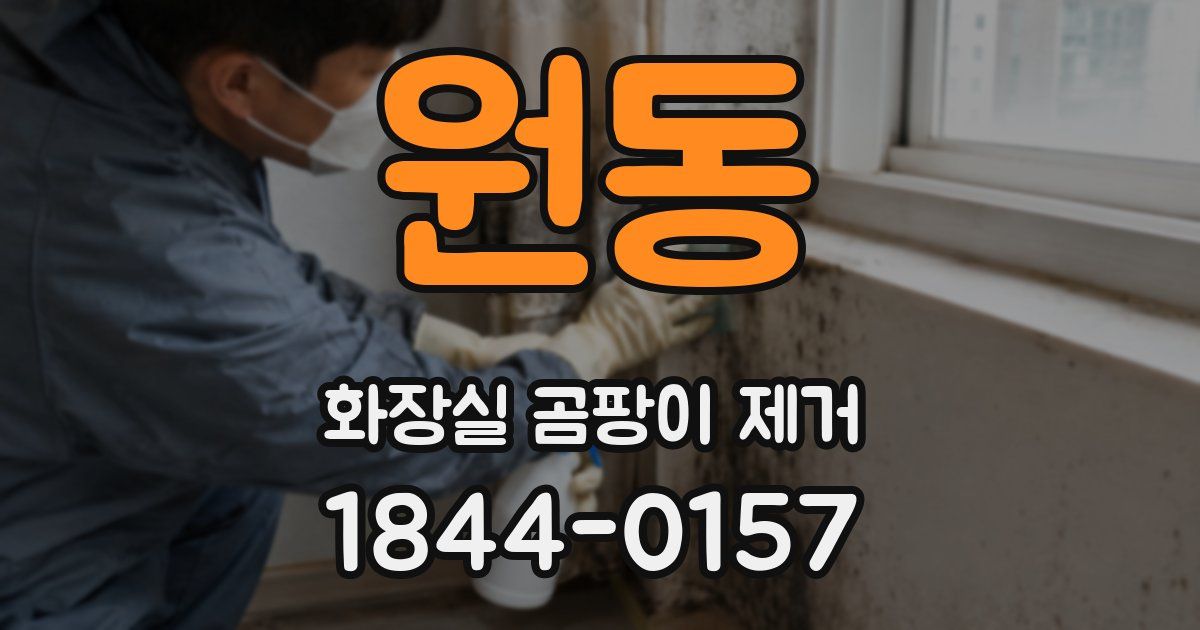 원동 화장실 곰팡이 제거