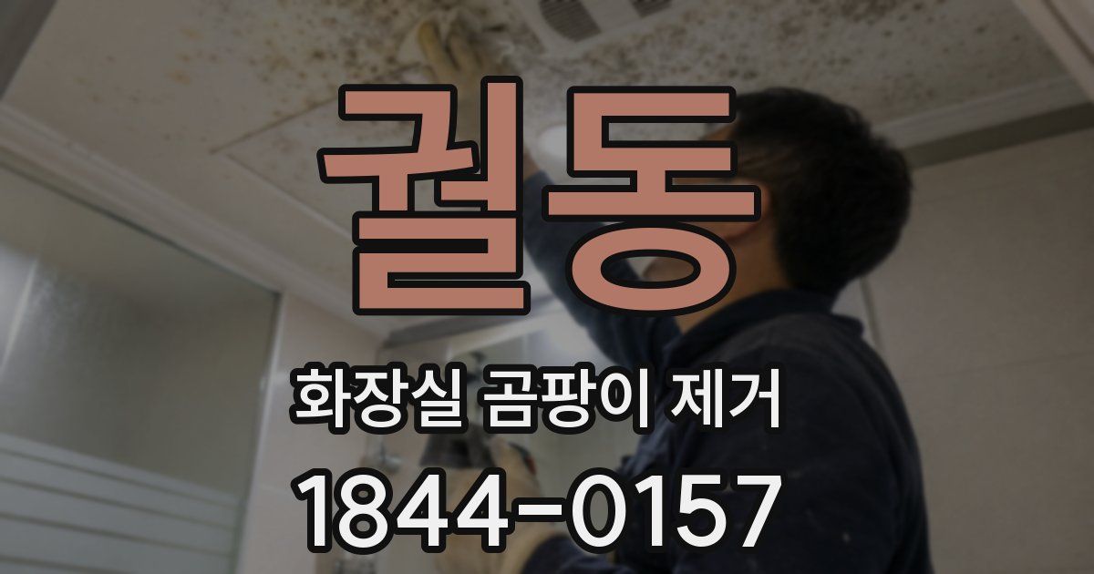 궐동 화장실 곰팡이 제거