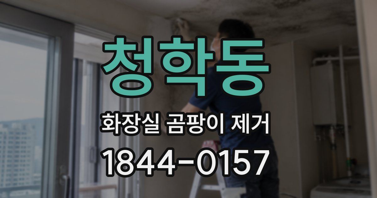 청학동 화장실 곰팡이 제거