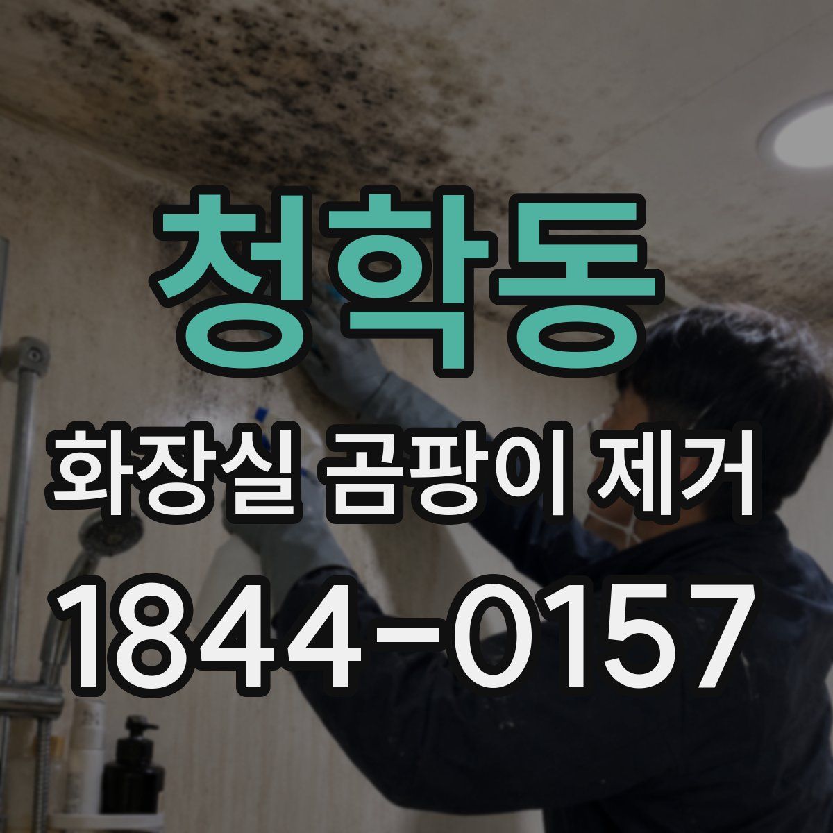 청학동 화장실 곰팡이 제거