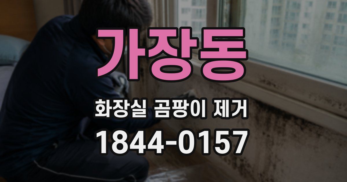 가장동 화장실 곰팡이 제거