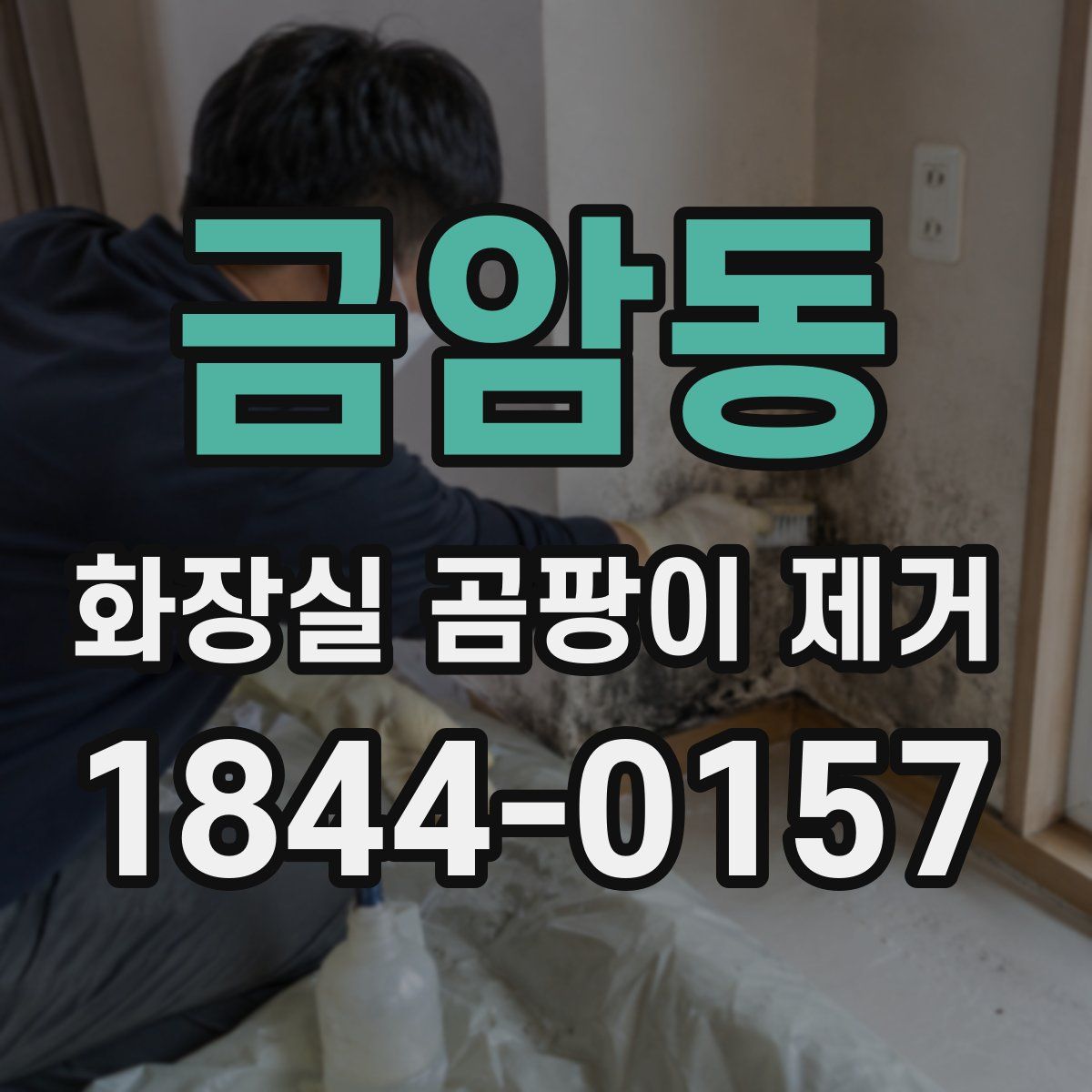 금암동 화장실 곰팡이 제거