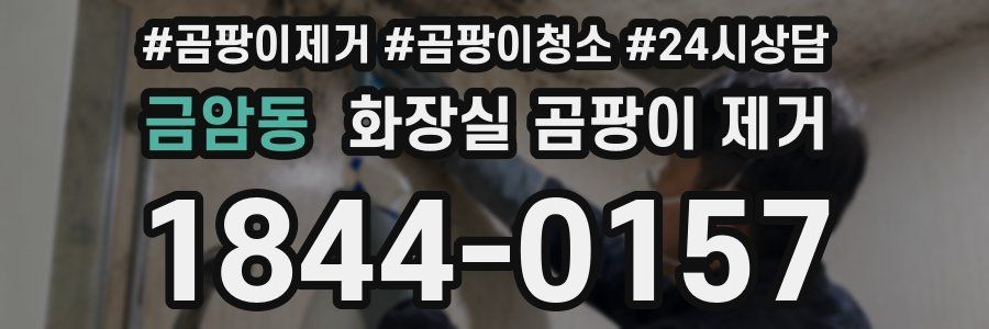 금암동 화장실 곰팡이 제거