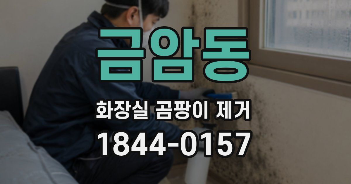 금암동 화장실 곰팡이 제거