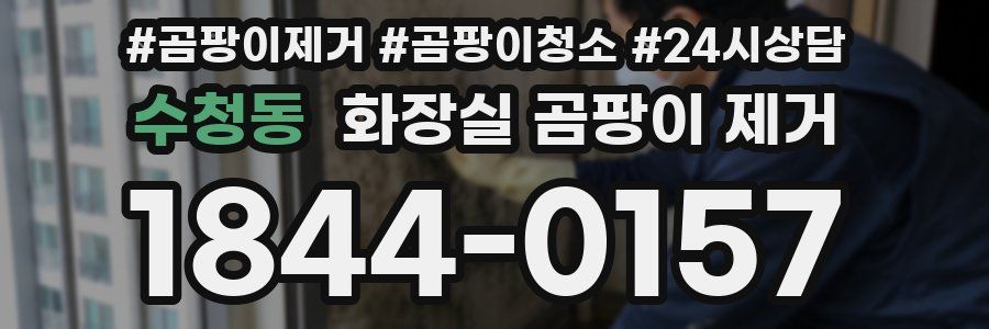 수청동 화장실 곰팡이 제거