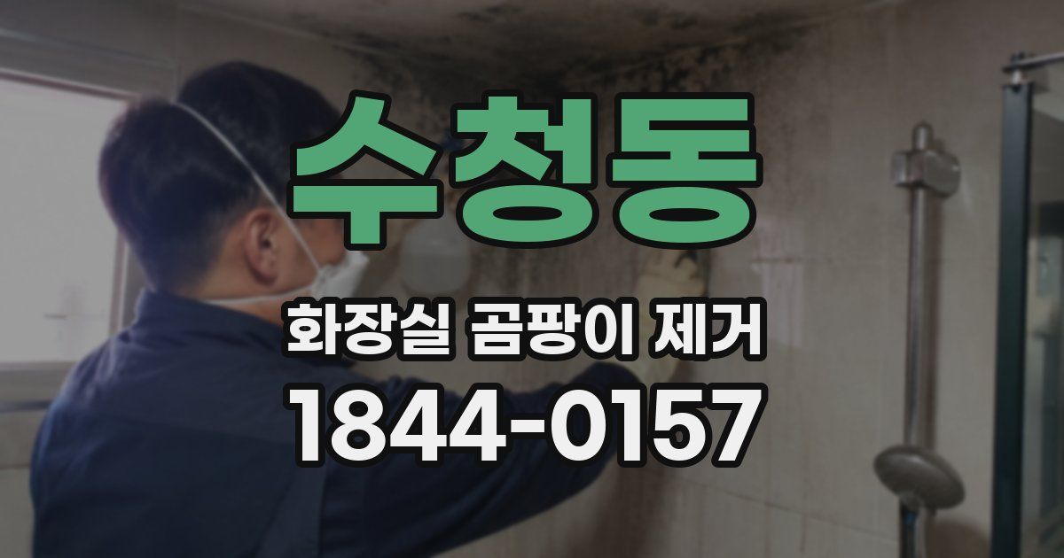 수청동 화장실 곰팡이 제거