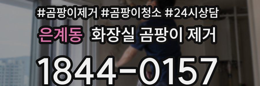 은계동 화장실 곰팡이 제거